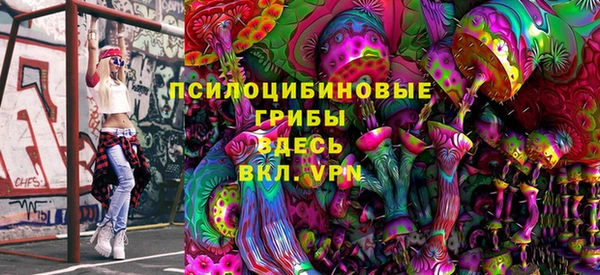 индика Россошь