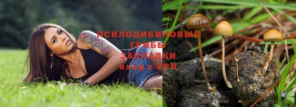 герыч Алзамай