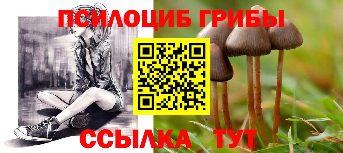 дарнет шоп  Вход с VPN  Муравленко  Галлюциногенные грибы мицелий 