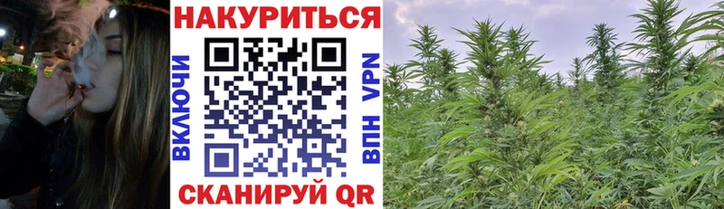 магазин продажи   Муравленко  Каннабис White Widow 